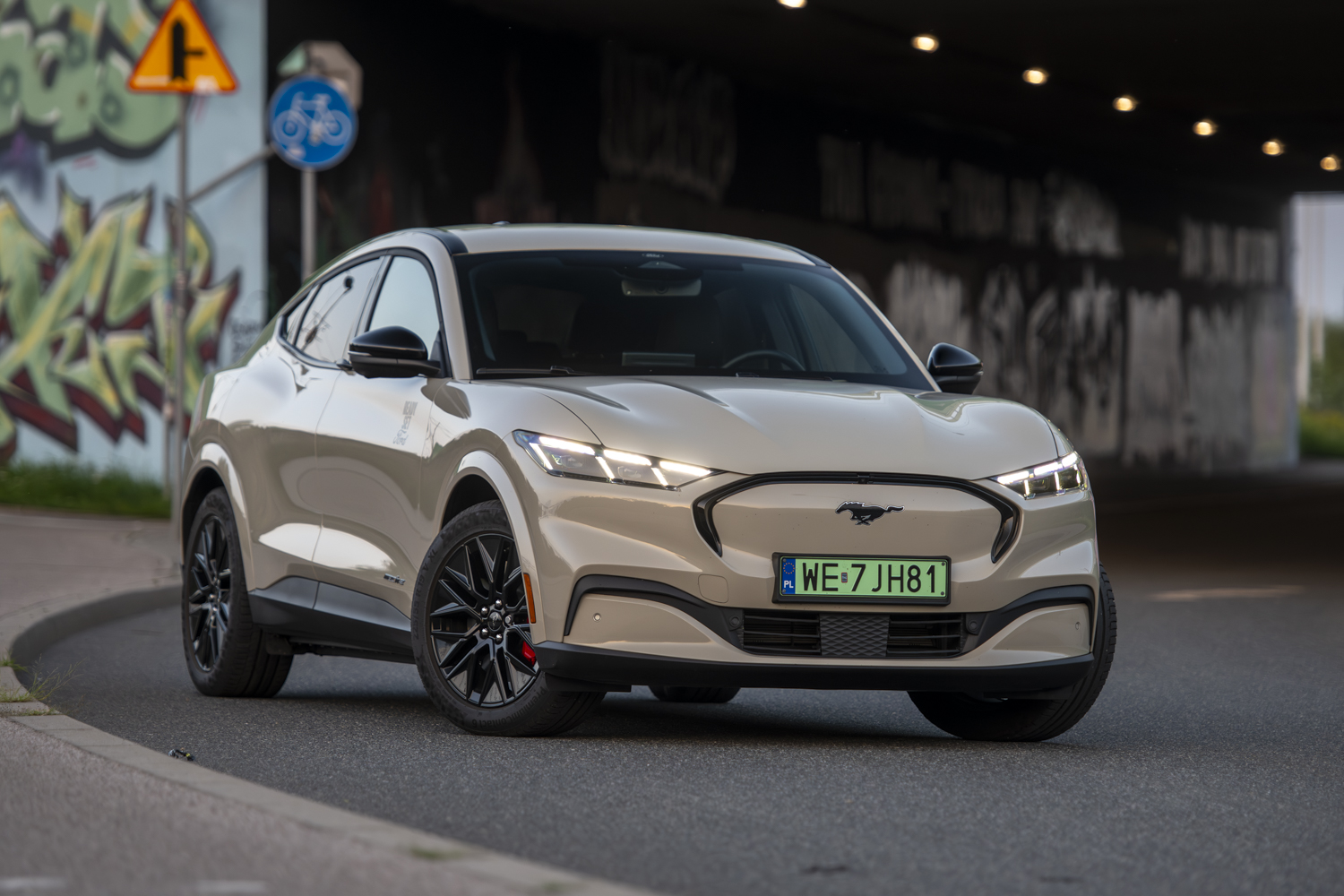 Ford Mustang Mach-E — zdjęcie auta w teście EV Rally